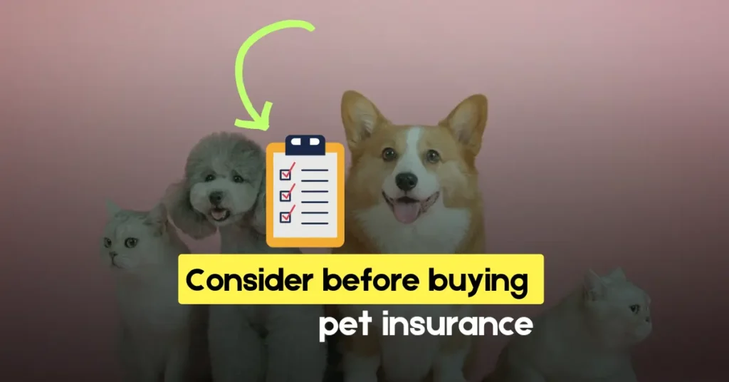 What should consider before buying Pet insurance